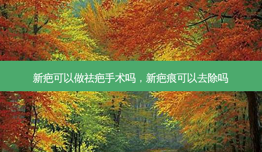 新疤可以做祛疤手术吗，新疤痕可以去除吗-第1张图片-容颜讯