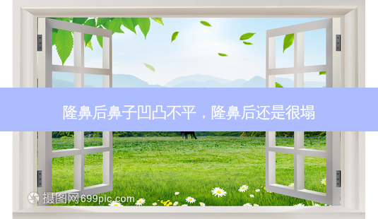 隆鼻后鼻子凹凸不平,隆鼻后还是很塌-第1张图片-容颜讯 隆鼻后鼻子凹凸不平,隆鼻后还是很塌-第1张图片-容颜讯