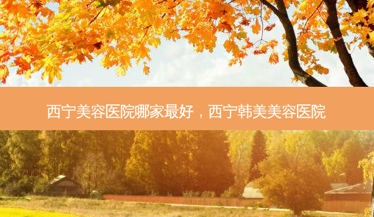 西宁美容医院哪家好,西宁韩美美容医院-第1张图片-容颜讯 西宁美容医院哪家好,西宁韩美美容医院-第1张图片-容颜讯