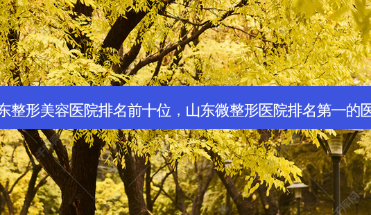 山东整形美容医院排名前十位，山东微整形医院的医院-第1张图片-容颜讯