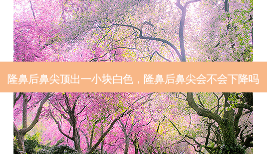 隆鼻后鼻尖顶出一小块白色,隆鼻后鼻尖会不会下降吗-第1张图片-容颜讯 隆鼻后鼻尖顶出一小块白色,隆鼻后鼻尖会不会下降吗-第1张图片-容颜讯