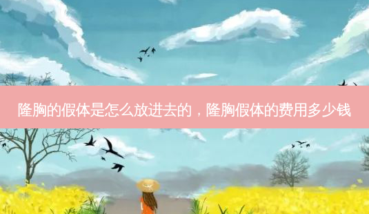 隆胸的假体是怎么放进去的,隆胸假体的费用多少钱-第1张图片-容颜讯 隆胸的假体是怎么放进去的,隆胸假体的费用多少钱-第1张图片-容颜讯