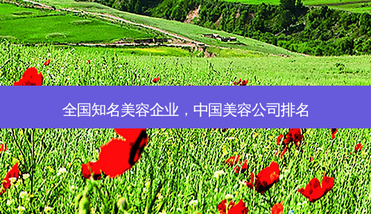 全国知名美容企业，中国美容公司排名-第1张图片-容颜讯
