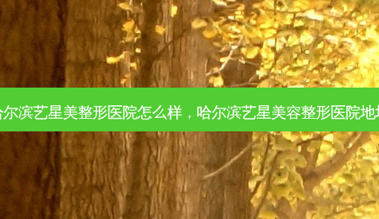 哈尔滨艺星美整形医院怎么样,哈尔滨艺星美容整形医院地址-第1张图片-容颜讯 哈尔滨艺星美整形医院怎么样,哈尔滨艺星美容整形医院地址-第1张图片-容颜讯