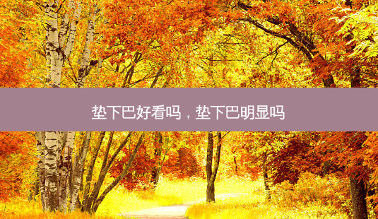 垫下巴好看吗，垫下巴明显吗-第1张图片-容颜讯