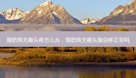 脂肪填充额头疼怎么办,脂肪填充额头脑袋疼正常吗-第1张图片-容颜讯 脂肪填充额头疼怎么办,脂肪填充额头脑袋疼正常吗-第1张图片-容颜讯