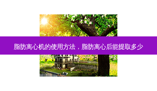 脂肪离心机的使用 *** ，脂肪离心后能提取多少-第1张图片-容颜讯