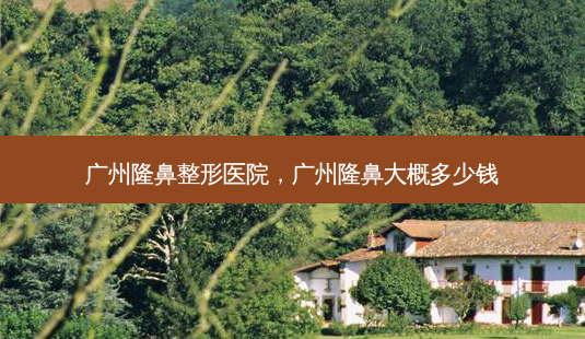 广州隆鼻整形医院,广州隆鼻大概多少钱-第1张图片-容颜讯 广州隆鼻整形医院,广州隆鼻大概多少钱-第1张图片-容颜讯