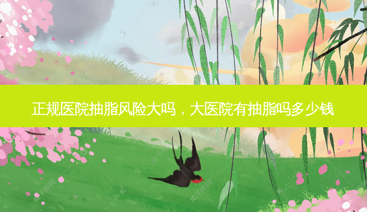 正规医院抽脂风险大吗，大医院有抽脂吗多少钱-第1张图片-容颜讯