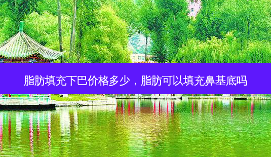 脂肪填充下巴价格多少，脂肪可以填充鼻基底吗-第1张图片-容颜讯