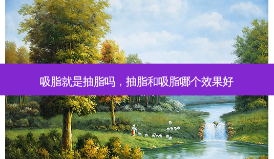 吸脂就是抽脂吗，抽脂和吸脂哪个效果好-第1张图片-容颜讯