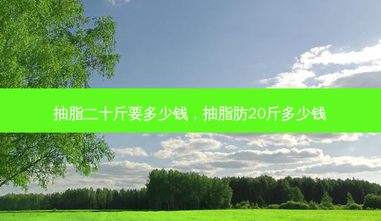 抽脂二十斤要多少钱，抽脂肪20斤多少钱-第1张图片-容颜讯
