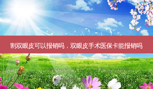 割双眼皮可以报销吗,双眼皮手术医保卡能报销吗-第1张图片-容颜讯 割双眼皮可以报销吗,双眼皮手术医保卡能报销吗-第1张图片-容颜讯