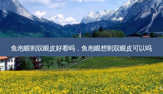鱼泡眼割双眼皮好看吗，鱼泡眼想割双眼皮可以吗-第1张图片-容颜讯