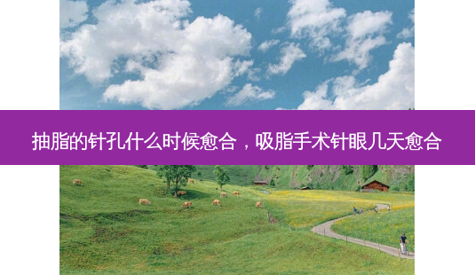 抽脂的针孔什么时候愈合,吸脂手术针眼几天愈合-第1张图片-容颜讯 抽脂的针孔什么时候愈合,吸脂手术针眼几天愈合-第1张图片-容颜讯