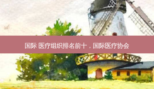 国际 医疗组织排名前十,国际医疗协会-第1张图片-容颜讯 国际 医疗组织排名前十,国际医疗协会-第1张图片-容颜讯