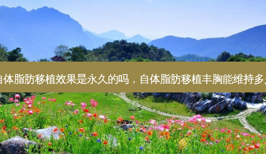 自体脂肪移植效果是永久的吗，自体脂肪移植丰胸能维持多久-第1张图片-容颜讯
