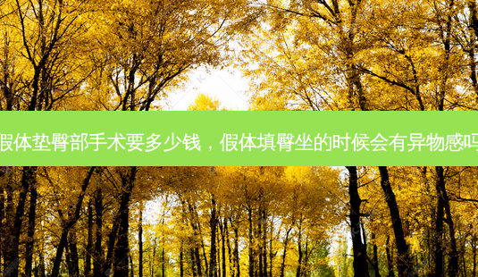 假体垫臀部手术要多少钱,假体填臀坐的时候会有异物感吗-第1张图片-容颜讯 假体垫臀部手术要多少钱,假体填臀坐的时候会有异物感吗-第1张图片-容颜讯