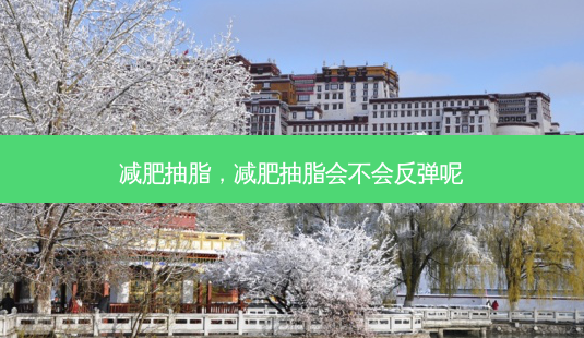 减肥抽脂，减肥抽脂会不会反弹呢-第1张图片-容颜讯