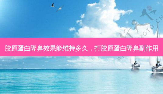 胶原蛋白隆鼻效果能维持多久,打胶原蛋白隆鼻副作用-第1张图片-容颜讯 胶原蛋白隆鼻效果能维持多久,打胶原蛋白隆鼻副作用-第1张图片-容颜讯