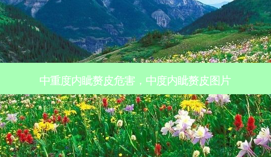 中重度内眦赘皮危害,中度内眦赘皮图片-第1张图片-容颜讯 中重度内眦赘皮危害,中度内眦赘皮图片-第1张图片-容颜讯
