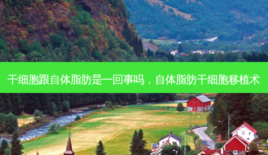 干细胞跟自体脂肪是一回事吗,自体脂肪干细胞移植术-第1张图片-容颜讯 干细胞跟自体脂肪是一回事吗,自体脂肪干细胞移植术-第1张图片-容颜讯
