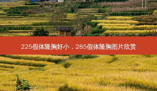 225假体隆胸好小，285假体隆胸图片欣赏-第1张图片-容颜讯