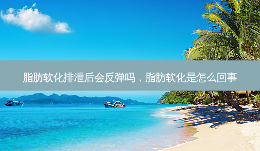 脂肪软化排泄后会反弹吗,脂肪软化是怎么回事-第1张图片-容颜讯 脂肪软化排泄后会反弹吗,脂肪软化是怎么回事-第1张图片-容颜讯