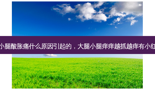 大腿小腿酸胀痛什么原因引起的，大腿小腿痒痒越抓越痒有小红疙瘩-第1张图片-容颜讯