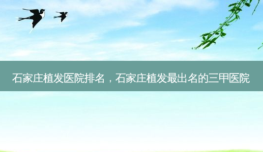 石家庄植发医院排名,石家庄植发出名的三甲医院-第1张图片-容颜讯 石家庄植发医院排名,石家庄植发出名的三甲医院-第1张图片-容颜讯
