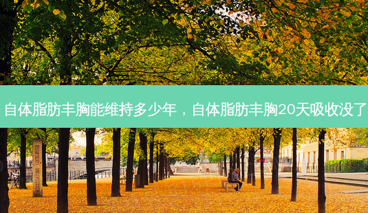 自体脂肪丰胸能维持多少年,自体脂肪丰胸20天吸收没了-第1张图片-容颜讯 自体脂肪丰胸能维持多少年,自体脂肪丰胸20天吸收没了-第1张图片-容颜讯