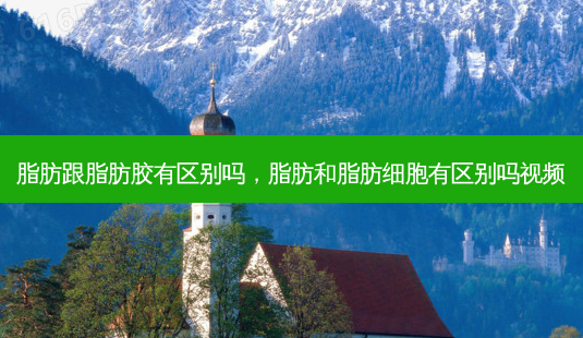 脂肪跟脂肪胶有区别吗,脂肪和脂肪细胞有区别吗视频-第1张图片-容颜讯 脂肪跟脂肪胶有区别吗,脂肪和脂肪细胞有区别吗视频-第1张图片-容颜讯