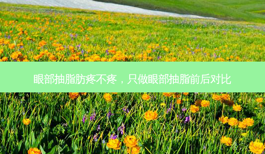 眼部抽脂肪疼不疼,只做眼部抽脂前后对比-第1张图片-容颜讯 眼部抽脂肪疼不疼,只做眼部抽脂前后对比-第1张图片-容颜讯