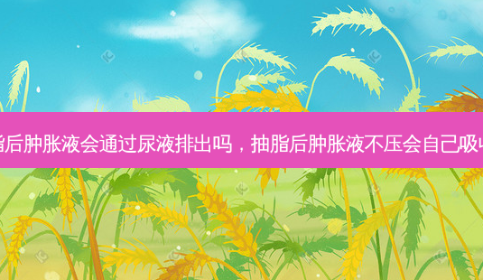 抽脂后肿胀液会通过尿液排出吗,抽脂后肿胀液不压会自己吸收吗-第1张图片-容颜讯 抽脂后肿胀液会通过尿液排出吗,抽脂后肿胀液不压会自己吸收吗-第1张图片-容颜讯