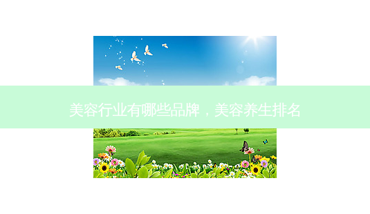 美容行业有哪些品牌,美容养生排名-第1张图片-容颜讯 美容行业有哪些品牌,美容养生排名-第1张图片-容颜讯