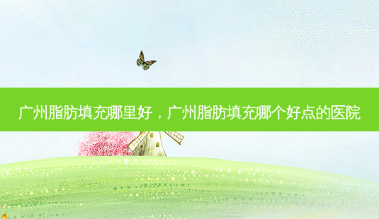 广州脂肪填充哪里好，广州脂肪填充哪个好点的医院-第1张图片-容颜讯
