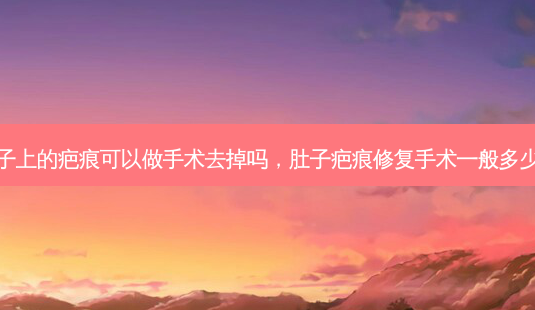 肚子上的疤痕可以做手术去掉吗,肚子疤痕修复手术一般多少钱-第1张图片-容颜讯 肚子上的疤痕可以做手术去掉吗,肚子疤痕修复手术一般多少钱-第1张图片-容颜讯