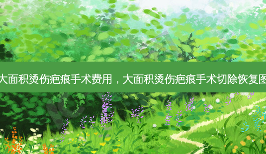 大面积烫伤疤痕手术费用,大面积烫伤疤痕手术切除恢复图-第1张图片-容颜讯 大面积烫伤疤痕手术费用,大面积烫伤疤痕手术切除恢复图-第1张图片-容颜讯