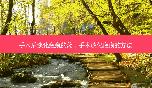 手术后淡化疤痕的药，手术淡化疤痕的 *** -第1张图片-容颜讯