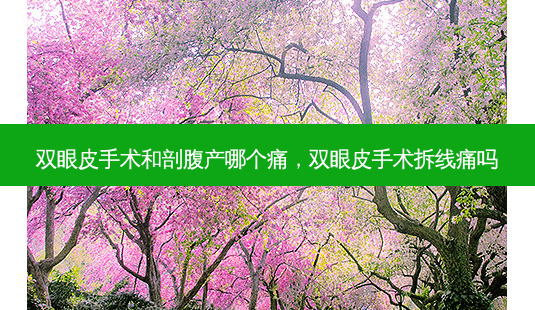 双眼皮手术和剖腹产哪个痛，双眼皮手术拆线痛吗-第1张图片-容颜讯
