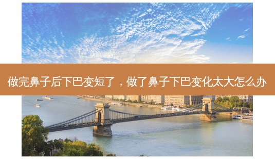 做完鼻子后下巴变短了,做了鼻子下巴变化太大怎么办-第1张图片-容颜讯 做完鼻子后下巴变短了,做了鼻子下巴变化太大怎么办-第1张图片-容颜讯