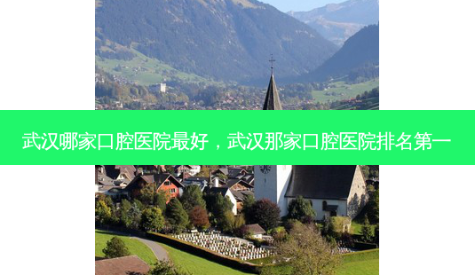 武汉哪家口腔医院好，武汉那家口腔医院-第1张图片-容颜讯