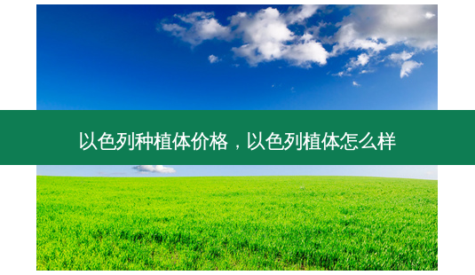 以色列种植体价格,以色列植体怎么样-第1张图片-容颜讯 以色列种植体价格,以色列植体怎么样-第1张图片-容颜讯