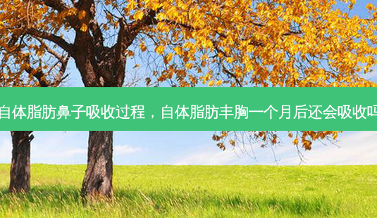 自体脂肪鼻子吸收过程,自体脂肪丰胸一个月后还会吸收吗-第1张图片-容颜讯 自体脂肪鼻子吸收过程,自体脂肪丰胸一个月后还会吸收吗-第1张图片-容颜讯