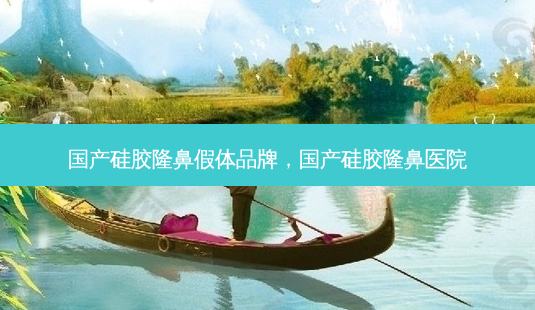 国产硅胶隆鼻假体品牌，国产硅胶隆鼻医院-第1张图片-容颜讯