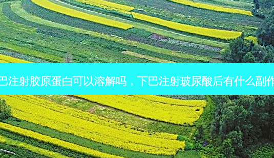 下巴注射胶原蛋白可以溶解吗,下巴注射玻尿酸后有什么副作用-第1张图片-容颜讯 下巴注射胶原蛋白可以溶解吗,下巴注射玻尿酸后有什么副作用-第1张图片-容颜讯