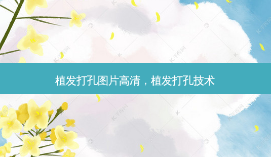 植发打孔图片高清,植发打孔技术-第1张图片-容颜讯 植发打孔图片高清,植发打孔技术-第1张图片-容颜讯