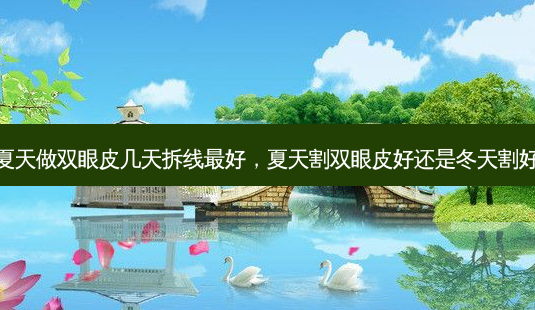 夏天做双眼皮几天拆线好,夏天割双眼皮好还是冬天割好-第1张图片-容颜讯 夏天做双眼皮几天拆线好,夏天割双眼皮好还是冬天割好-第1张图片-容颜讯