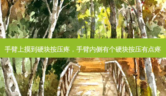手臂上摸到硬块按压疼,手臂内侧有个硬块按压有点疼-第1张图片-容颜讯 手臂上摸到硬块按压疼,手臂内侧有个硬块按压有点疼-第1张图片-容颜讯
