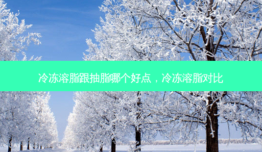 冷冻溶脂跟抽脂哪个好点,冷冻溶脂对比-第1张图片-容颜讯 冷冻溶脂跟抽脂哪个好点,冷冻溶脂对比-第1张图片-容颜讯